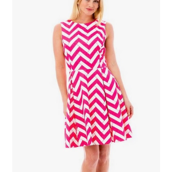 Elizabeth McKayHot Pink Bamboo Chevron Fit & Flare Dress w/POCKETS; Size 2
